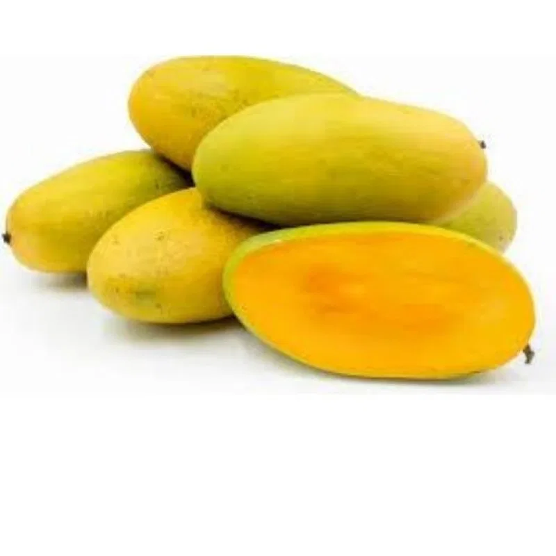 Mango Chausa - (Chausa Aam), 1 kg
