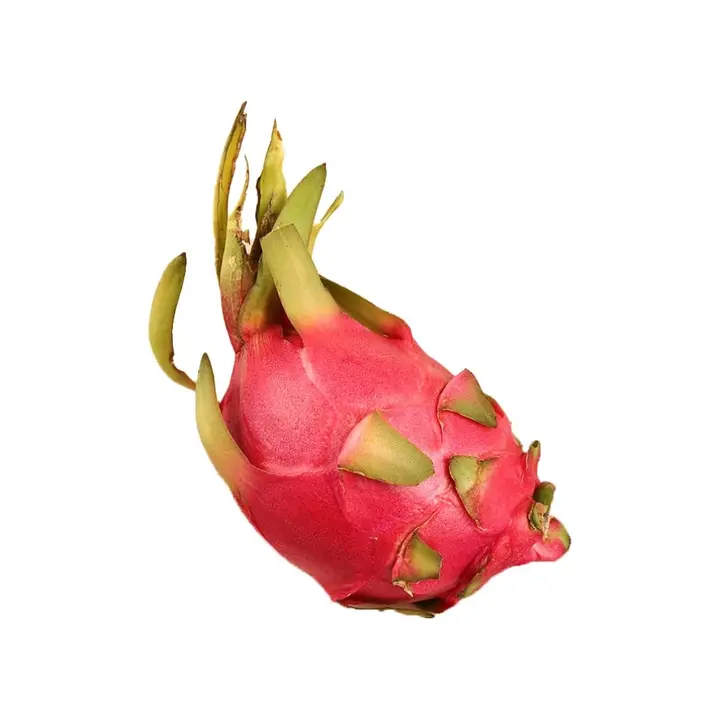 Dragon Fruit (Red) - 1pc