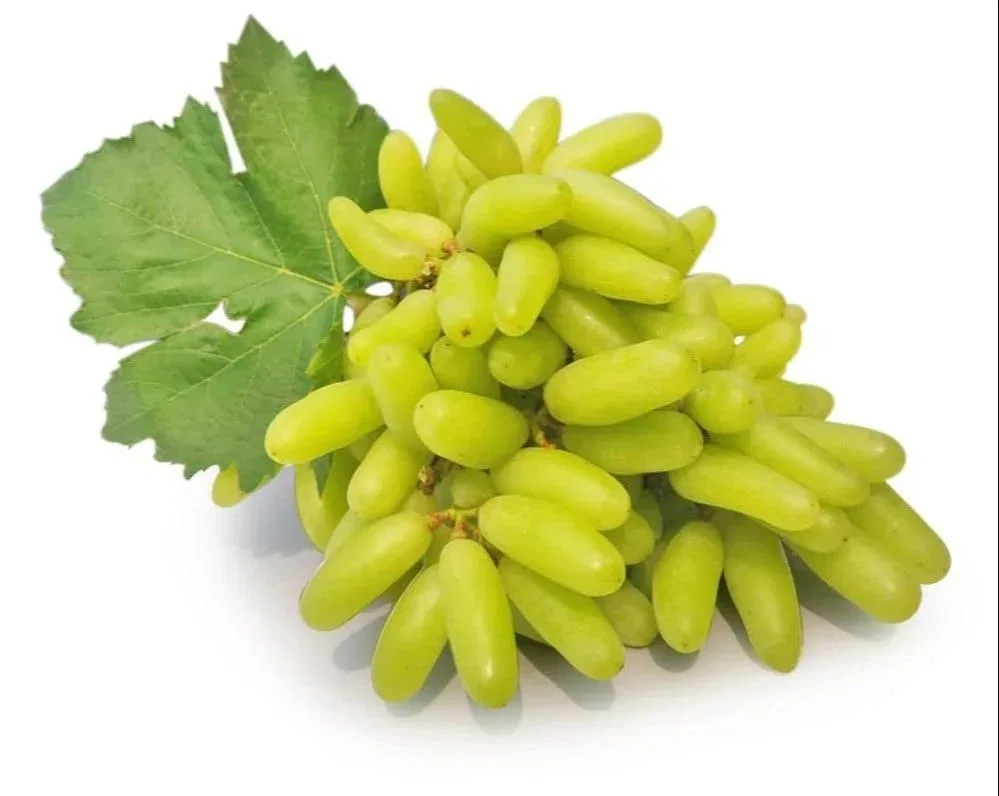 Green Grapes - (Hari Angoor), 1Kg