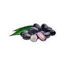 Jamun – image 1