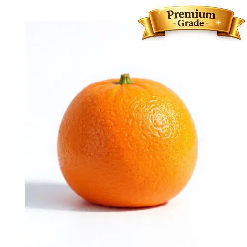 Malta Orange (900gm to 1.1 kg)