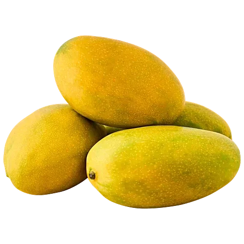 Golden Chausa , 1kg