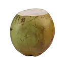 Tender Coconut - Nariyal 1 pc – image 1