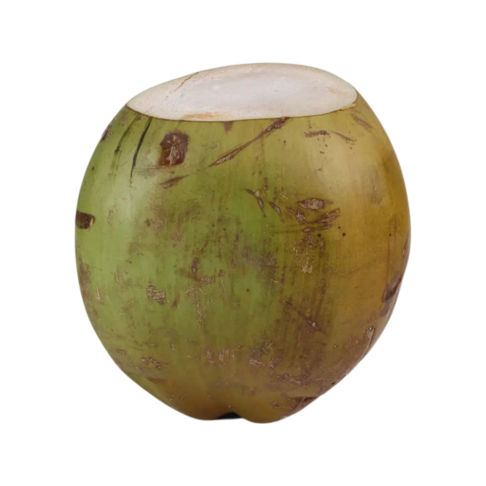 Tender Coconut - Nariyal 1 pc