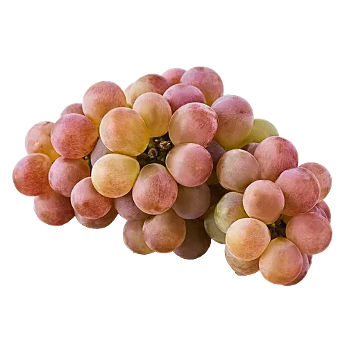 Red Grapes