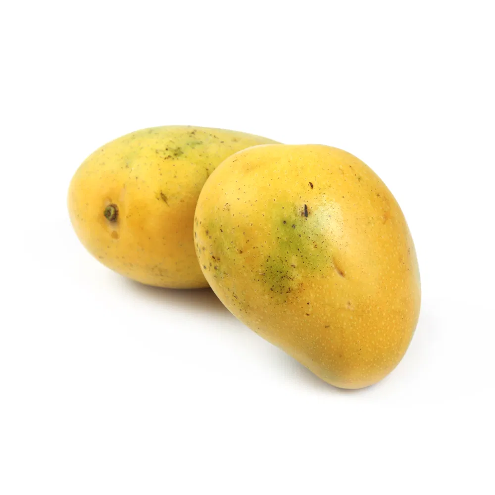 Mango Safeda - (900gm - 1.1kg)