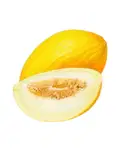 Sun Melon (Sarda), 1 pc – image 1