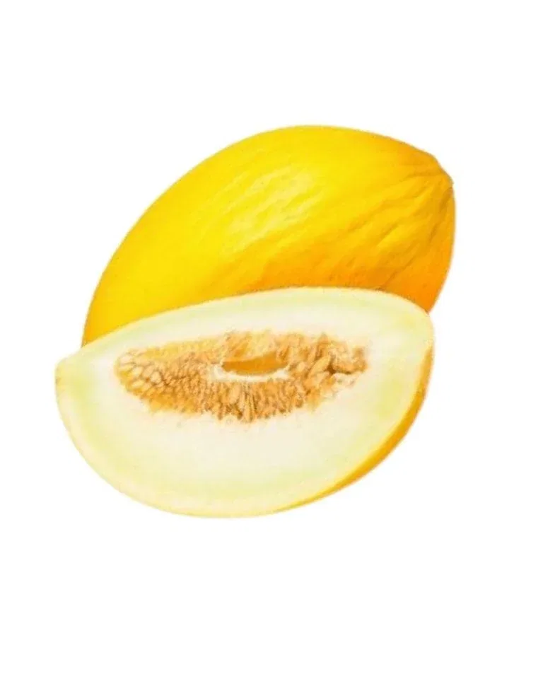Sun Melon (Sarda), 1 pc