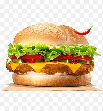 Hot & Spicy Veg Burger