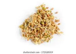 Millet Sprouts (Bajra)