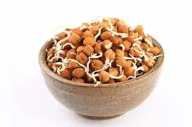 Soya Bean Sprouts