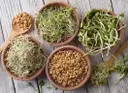All Sprouts – image 1