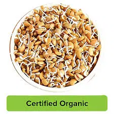 Horsegram Sprouts