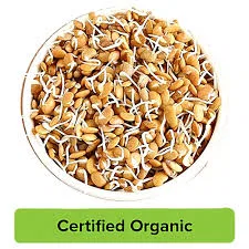 Horsegram Sprouts