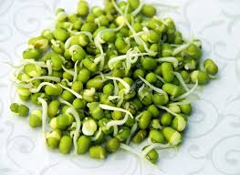 Moong Sprouts