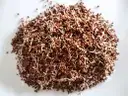 Ragi Sprouts – image 1