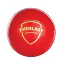SG BALL EVERLAST – image 1
