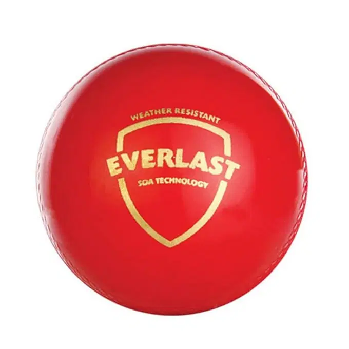 SG BALL EVERLAST
