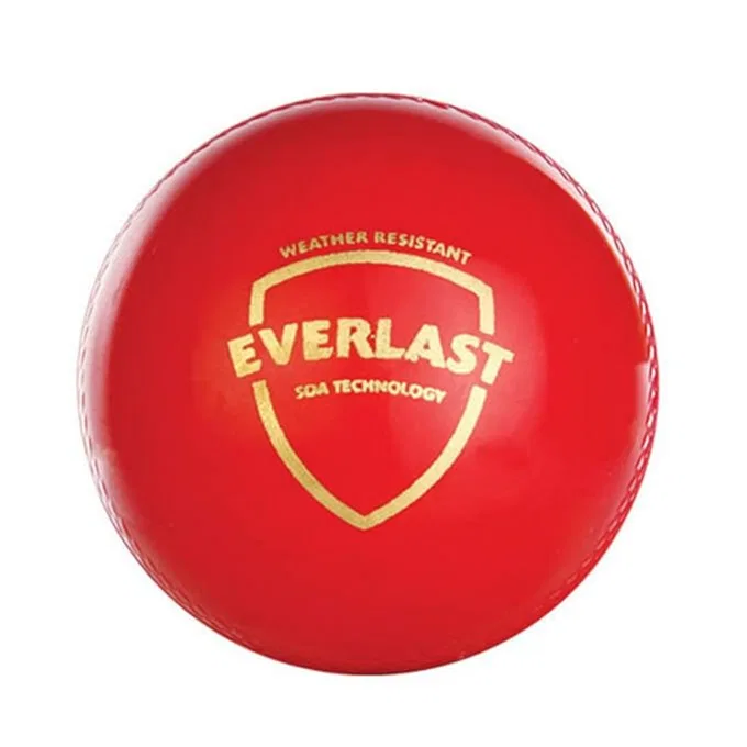 SG BALL EVERLAST