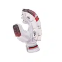 SG TEST BATTING GLOVES  – image 1