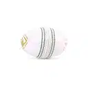 SG Cricket Balls Shield 30 White – image 3