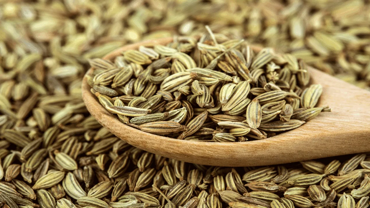 fennel seeds (sompu)