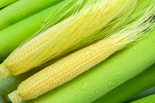 Baby Corn