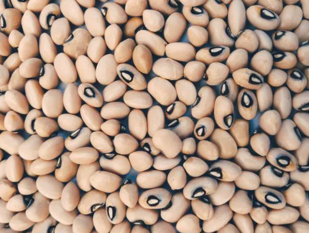 Chawli/Black eyed Pea Dal or Cowpea Dal/Alasanda Pappu/Bobbarlu