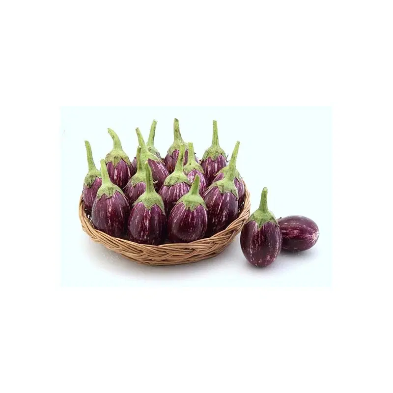 Brinjal