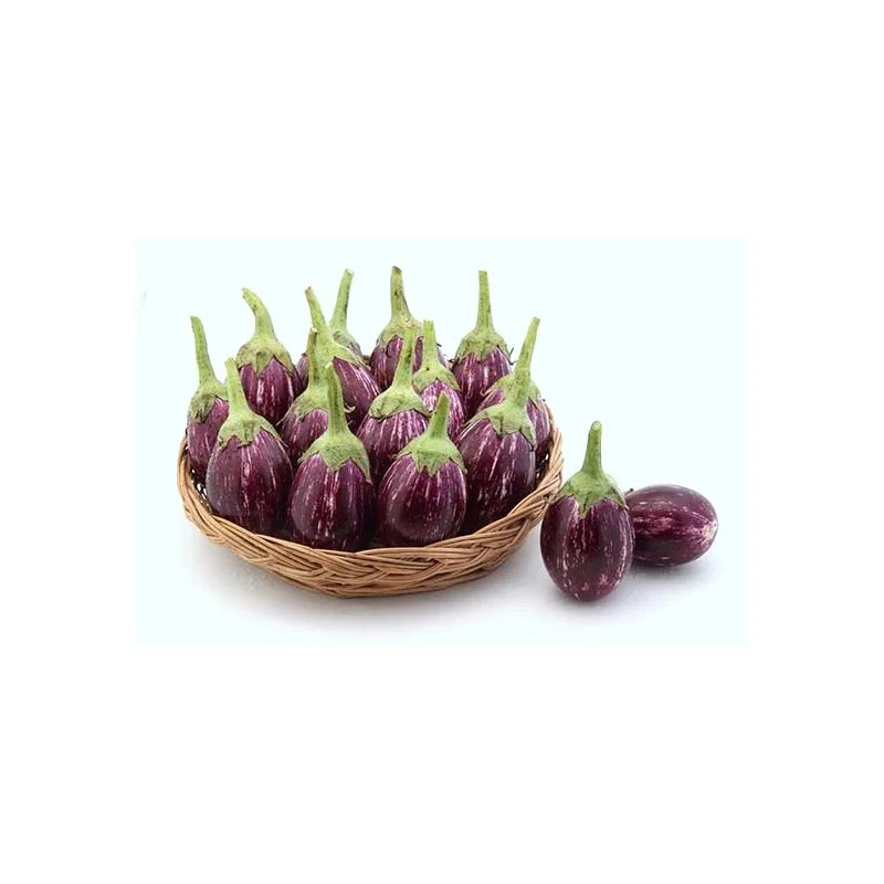 Brinjal