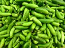 Coccinia (దొండకాయ) – image 1