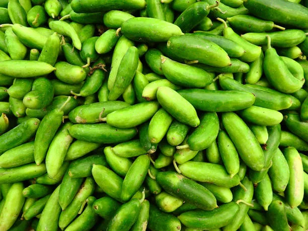 Coccinia (దొండకాయ)