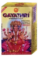 Gayatri Sambrani – image 1
