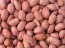 Moongfali/Ground nut/Veru Senaga/Pallilu – image 1