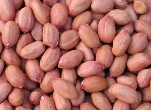 Moongfali/Ground nut/Veru Senaga/Pallilu