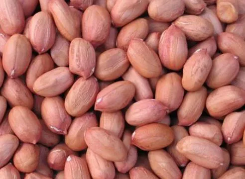 Moongfali/Ground nut/Veru Senaga/Pallilu
