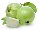 Guava – image 1