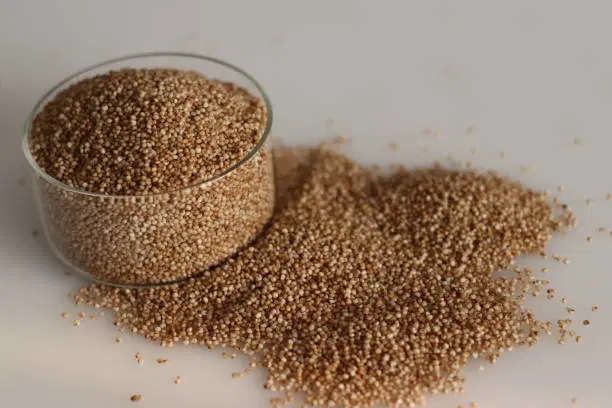 Arikalu (Kodo millet)