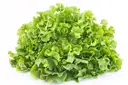 Lettuce (Pālakūra) – image 1