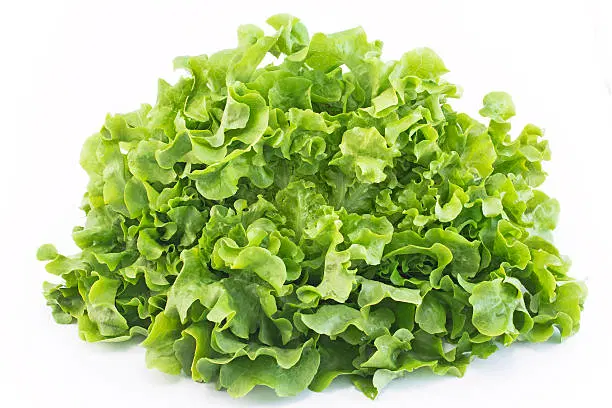 Lettuce (Pālakūra)