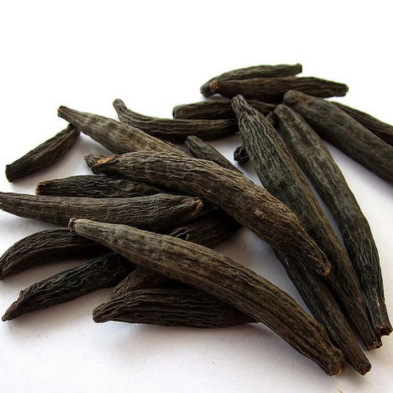 Marathi Moggu(Kapok Buds)