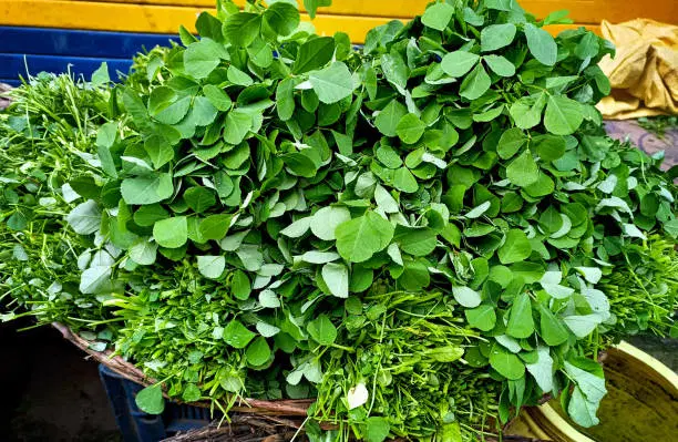 Methi