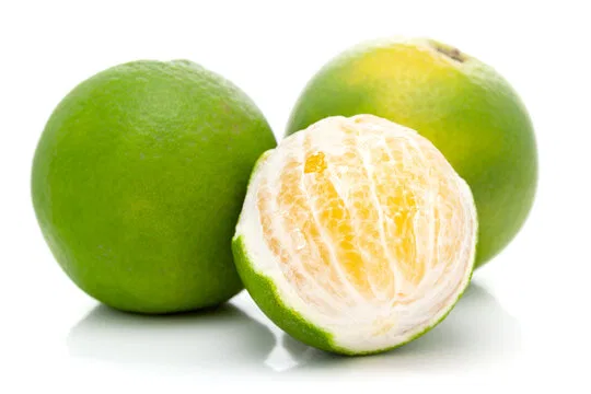 Mosambi