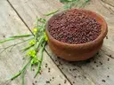 Mustard  ఆవాలు (aavaalu) – image 1