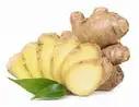 GINGER(ALLAM) – image 1