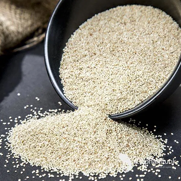 Poppy Seeds || gasagasalu