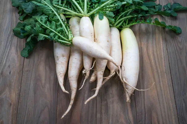 Radish - White ( Mullaṅgi )