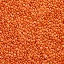 Laal Arhar Dal/Red Toor Dal or Red Split Pigeon Peas/Yerra Kandhi Pappu – image 1