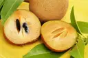 Sapota KG – image 1