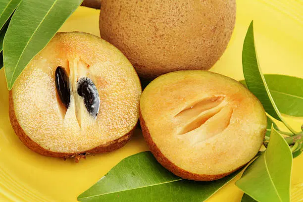 Sapota KG